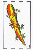 tarot
